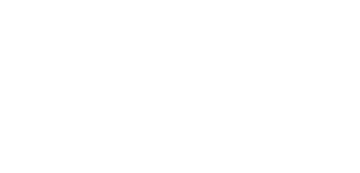Goride Transfers