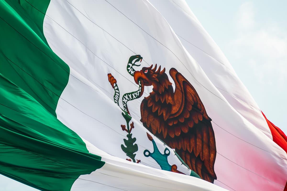 Professional Airport Transfers Across Mexico