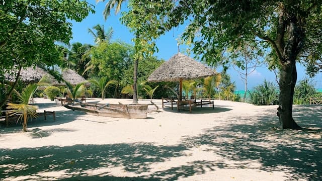 Zanzibar Airport Transfers (ZNZ) image 2